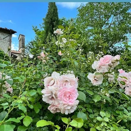 Borgo Spescia Pool Park And Relaxation Camposonaldo